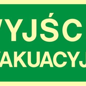 ZNAK EWAKUACYJNY - WYJŚCIE EWAKUACYJNE - AA 001 CE PS