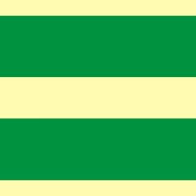 ZNAK EWAKUACYJNY - KIERUNEK DROGI EWAKUACYJNEJ - AA 008 BH PS